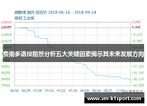 费南多退役前景分析五大关键因素揭示其未来发展方向