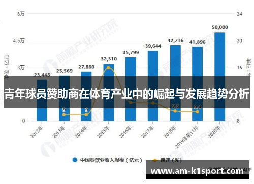 青年球员赞助商在体育产业中的崛起与发展趋势分析