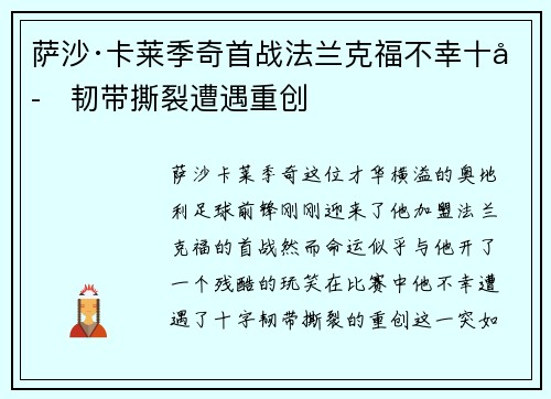 萨沙·卡莱季奇首战法兰克福不幸十字韧带撕裂遭遇重创